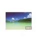 OKINAWA-2010 (67A)