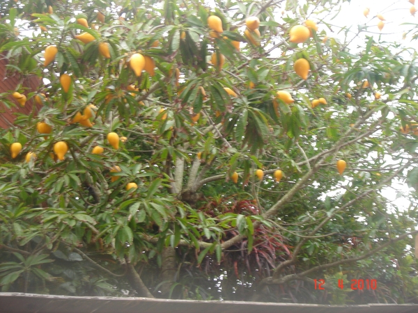 OKINAWA-2010 (73)