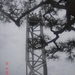 HIROSHIMA-------------2010 (28)