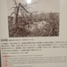 HIROSHIMA-------------2010 (37)