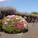 NAGASAKI 2010 (106)