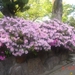 NAGASAKI 2010 (154)