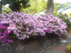 NAGASAKI 2010 (154)