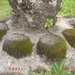 NAGASAKI 2010 (36)