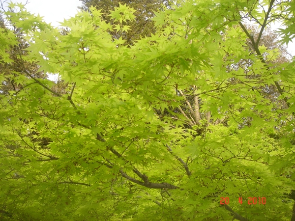 O S A K A--2010 (44)