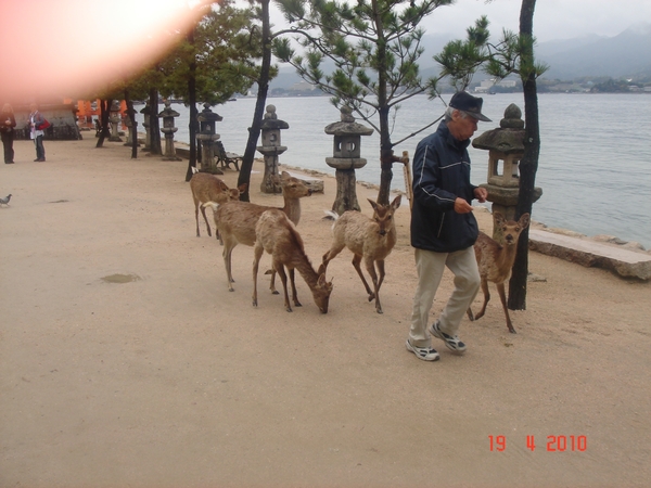 N A R A --2010 (17)