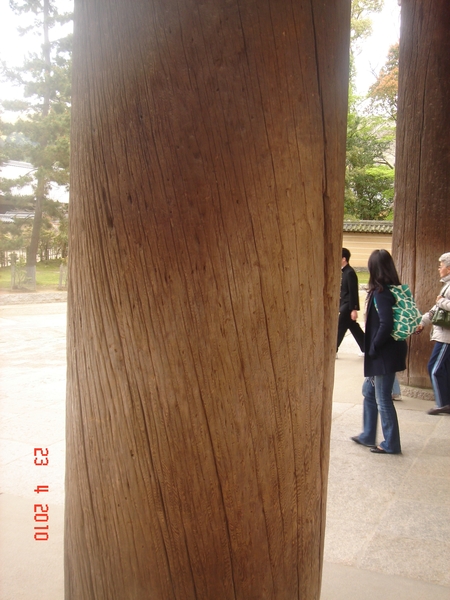 N A R A --2010 (79)