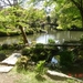 K Y O T O--2010 (19)