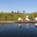 OEGANDA D 16 KISORO LAKE MUTANDA (36)