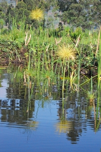 OEGANDA D 16 KISORO LAKE MUTANDA (41)