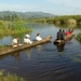 OEGANDA D 16 KISORO LAKE MUTANDA (7)