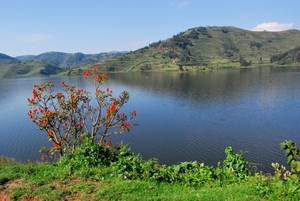 OEGANDA D13 2011-09-13 KISORO  (109)