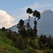 OEGANDA D13 2011-09-13 KISORO  (291)