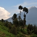 OEGANDA D13 2011-09-13 KISORO  (291)