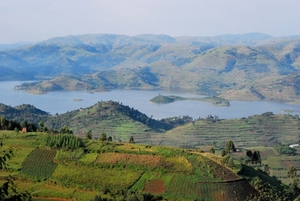 OEGANDA D13 2011-09-13 KISORO  (35)