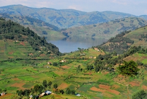 OEGANDA D13 2011-09-13 KISORO  (54)