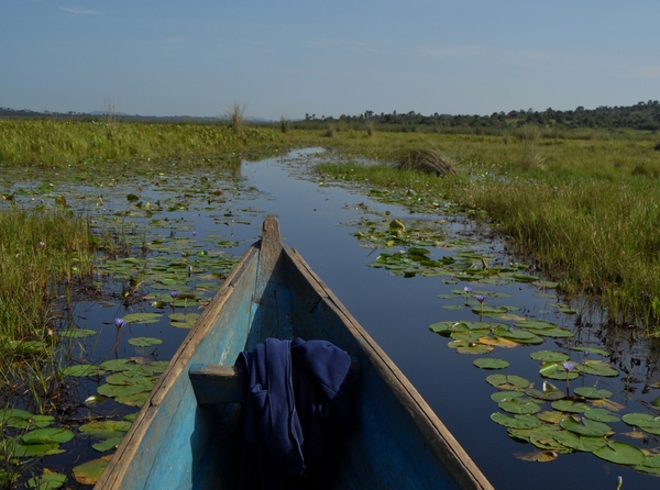 OEGANDA D19 MABAMBA SWAMP (43) - kopie