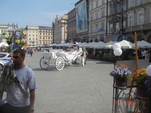 2011--MEI -------POLEN (11)