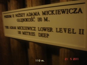 2011--MEI -------POLEN (113)