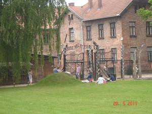 2011--MEI -------POLEN (118)