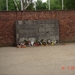 2011--MEI -------POLEN (121)