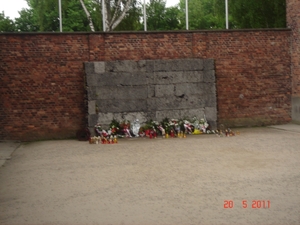 2011--MEI -------POLEN (121)