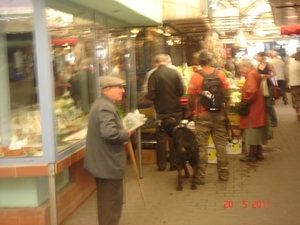 2011--MEI -------POLEN (14)