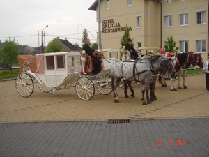 2011--MEI -------POLEN (21)