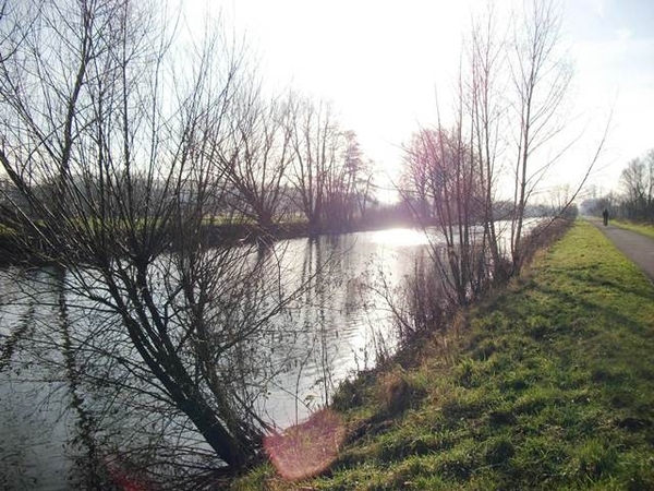 097-De Dender in Gijzegem