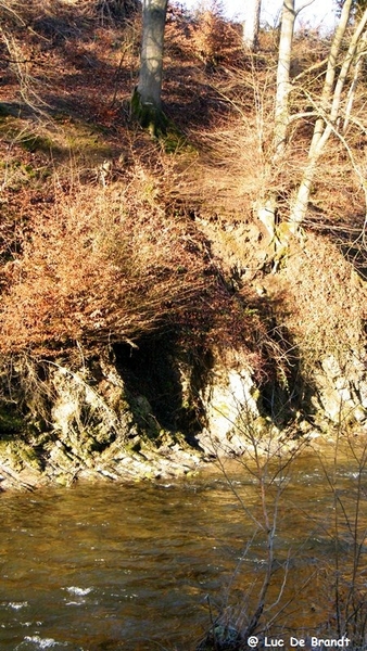 marche adeps wandeling Couvin Ardennen