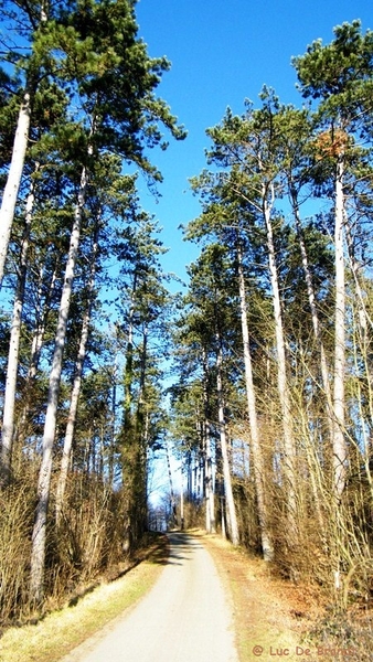 marche adeps wandeling Couvin Ardennen