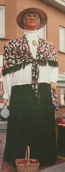 1700 Dilbeek - Rinneke