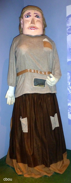 3071 Erps-Kwerps - Trieneke van Schoonaarde