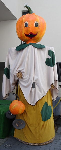 3080 Tervuren - Sussen de Pompoenweger