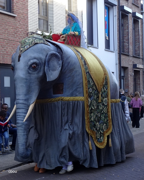 2500 Lier - de Olifant