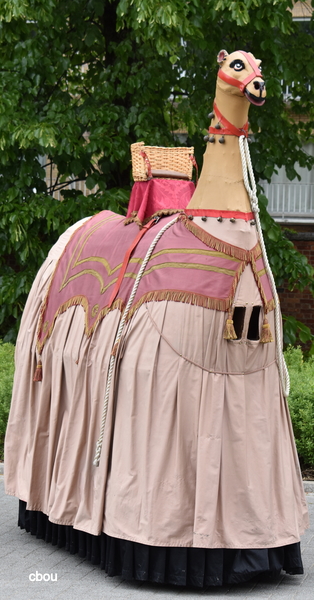 2800 Mechelen - Kemeltje 1