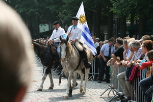 Ruiters te paard met vlag