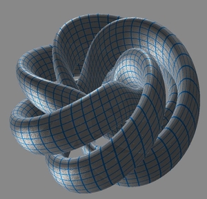 Braided Torus01