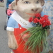 8420 Wenduine - Klem