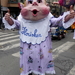 9300 Aalst - Florisken