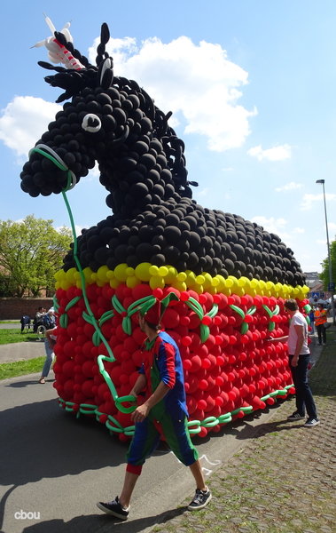 9200 Oudegem - Ballonpaard