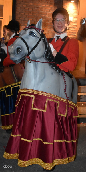 9200 Dendermonde - Huppelpaardje