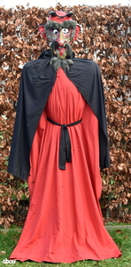 9600 Ronse - de duivel