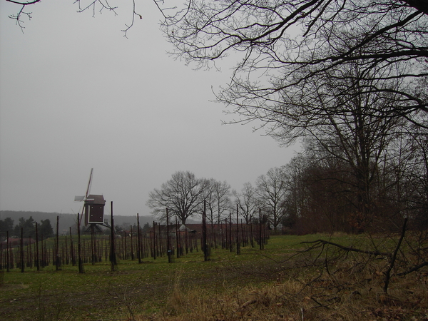 Gelrode 5