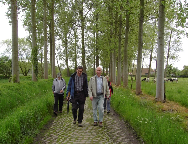 Wijgmaal 2012