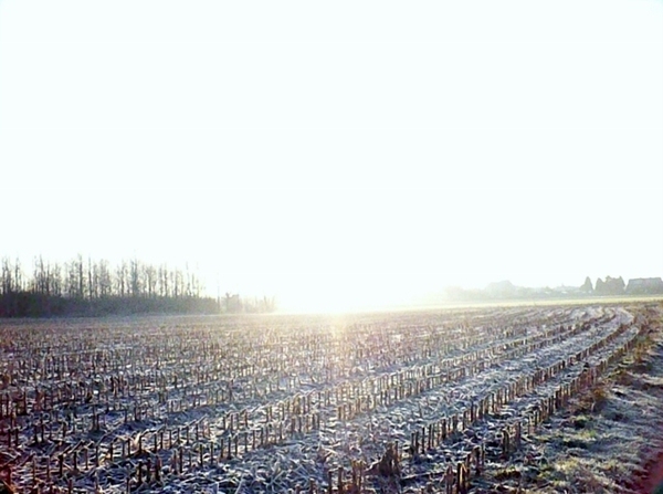 HET ZONNEKE SCHIJNT