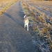 LUNA OP HAAR WANDELING