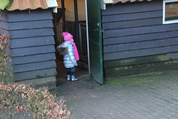 Het varken wilde niet op de foto