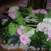 PICT0005