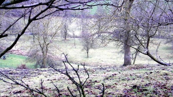 marche Adeps wandeling Fromie Ardennen